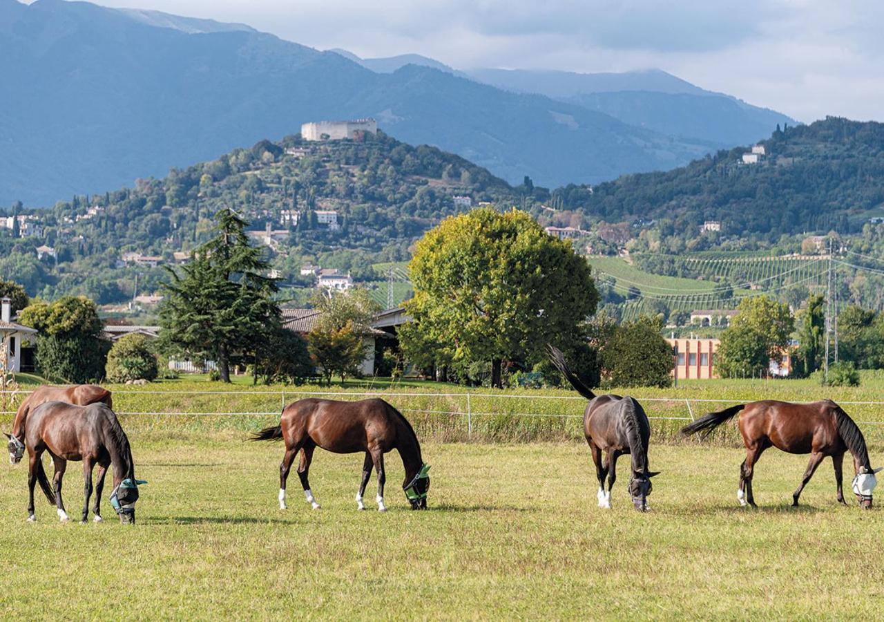 Progress Country & Wine House Aparthotel Asolo Exteriör bild